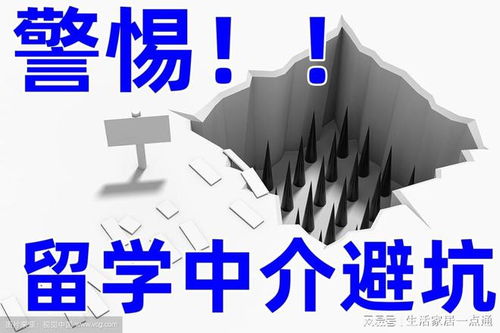 北京留學(xué)中介機構(gòu)權(quán)威揭露 十大排名內(nèi)幕優(yōu)劣勢自費出國指南